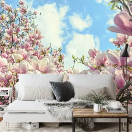 Fototapeta Kwitnąca Magnolia – Wiosenna Natura do Wnętrz