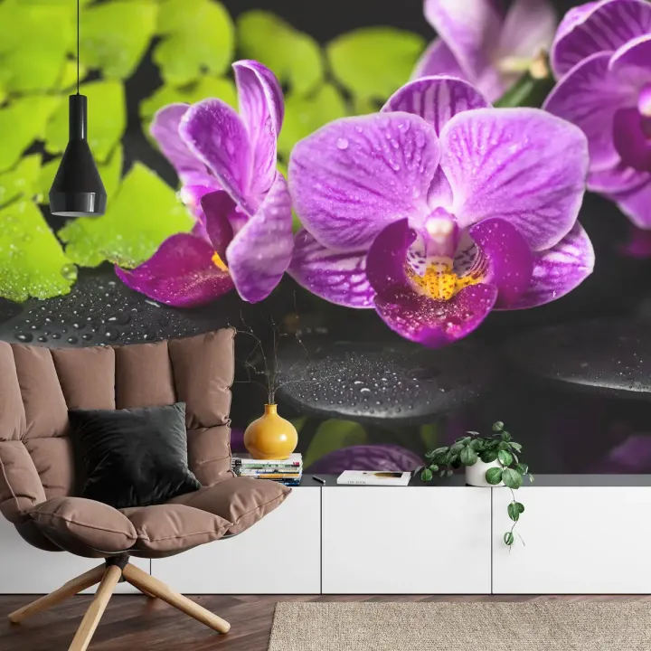 Fototapeta Orchidea Spa – Relaks w Otoczeniu Zieleni i Kamieni