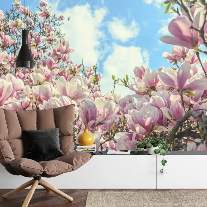 Fototapeta Kwitnąca Magnolia – Wiosenna Natura do Wnętrz