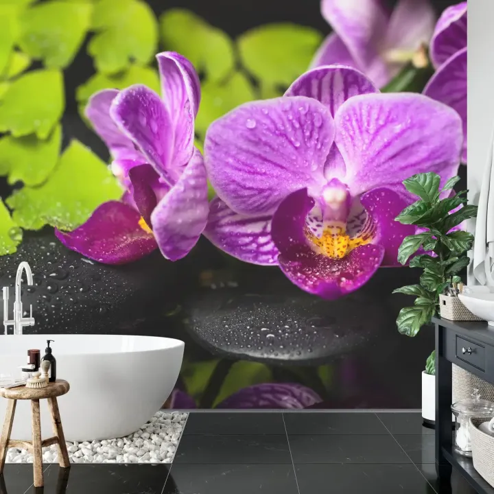 Fototapeta Orchidea Spa – Relaks w Otoczeniu Zieleni i Kamieni