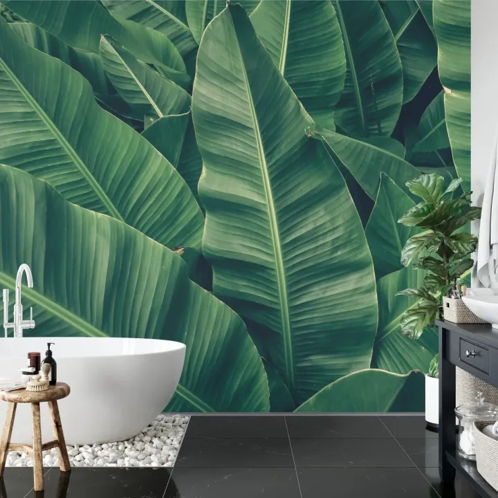 Fototapeta Tropikalne Liście – Egzotyczna Roślinność Dżungli