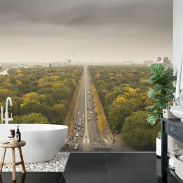 Fototapeta Berlin Z Oddali – Panorama Metropolii z Naturą