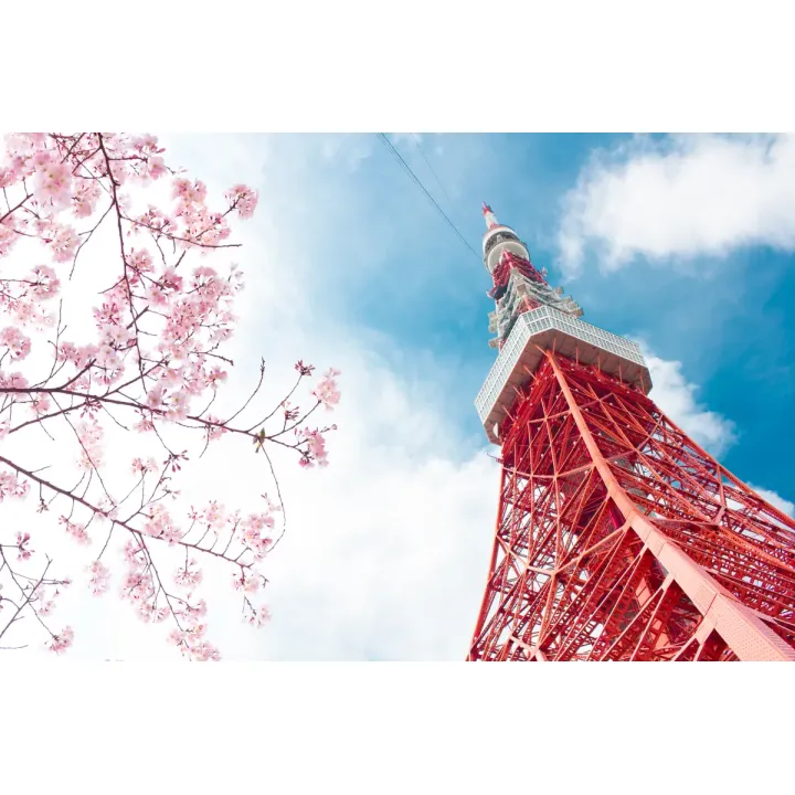 Fototapeta Tokyo Tower – Architektura Japonii na Tle Nieba – produkt