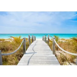 Fototapeta Ścieżka Na Karaibskiej Plaży – Rajska Plaża i Palmy nad Morzem