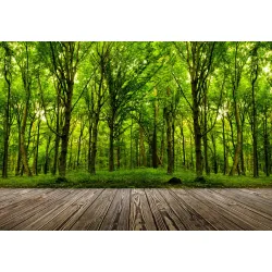 Fototapeta Las – Leśna Cisza i Panorama Zieleni