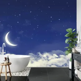 Fototapeta Marzycielskie Niebo – Nocne Niebo Pełne Gwiazd i Księżyca