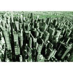 Fototapeta Las Wieżowców – Miejski Skyline i Architektura