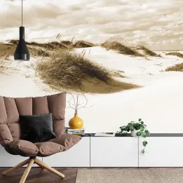 Fototapeta Pustynia – Wydmy w Sepii i Natura
