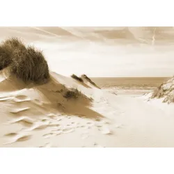 Fototapeta Droga Do Morza Sepia – Nadmorski Krajobraz z Wydmami