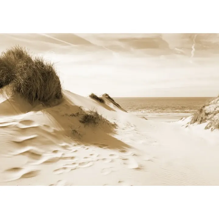Fototapeta Droga Do Morza Sepia – Nadmorski Krajobraz z Wydmami – produkt