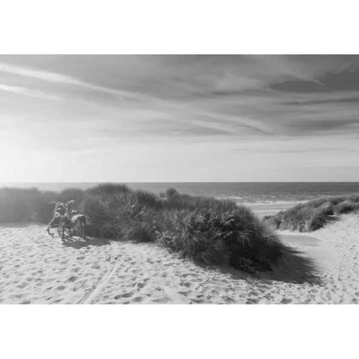 Fototapeta Ostatnie Letnie Słońce – Plaża i Wydmy o Zachodzie Słońca – produkt