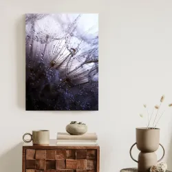 Plakat Mokry Mniszek Lekarski – Makrofotografia Kropel Wody na Nasionach