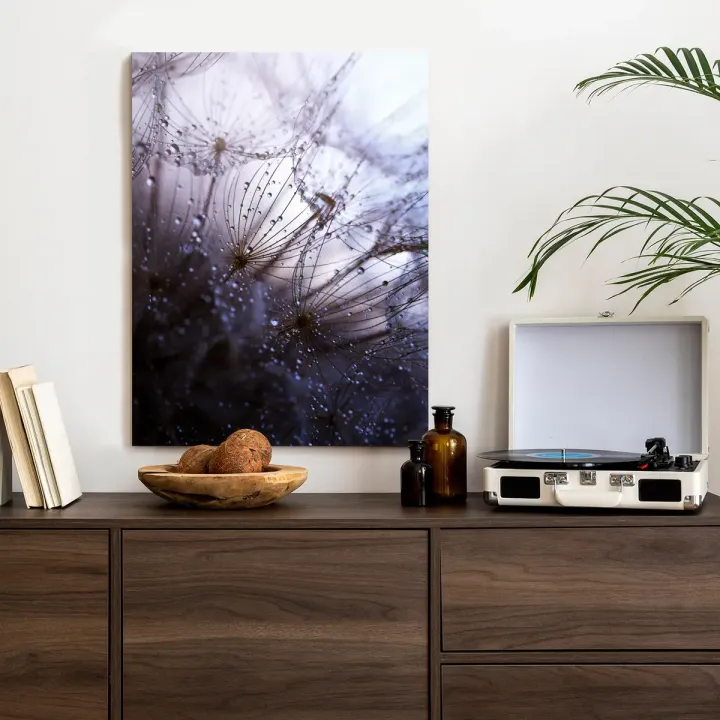 Plakat Mokry Mniszek Lekarski – Makrofotografia Kropel Wody na Nasionach