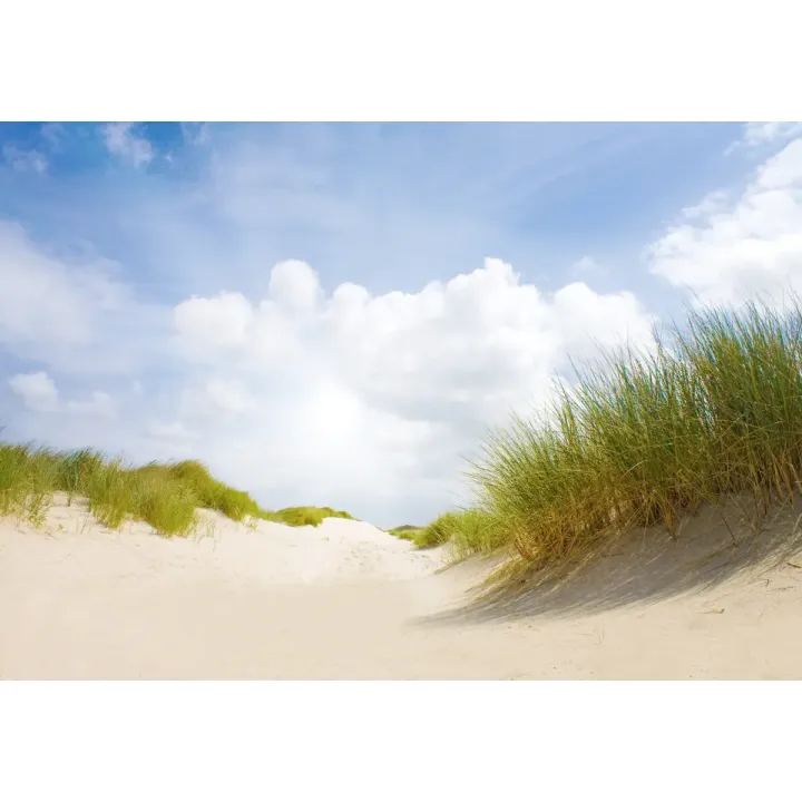 Fototapeta Piaszczyste Dni – Plaża i Wydmy w Nadmorskim Krajobrazie – produkt