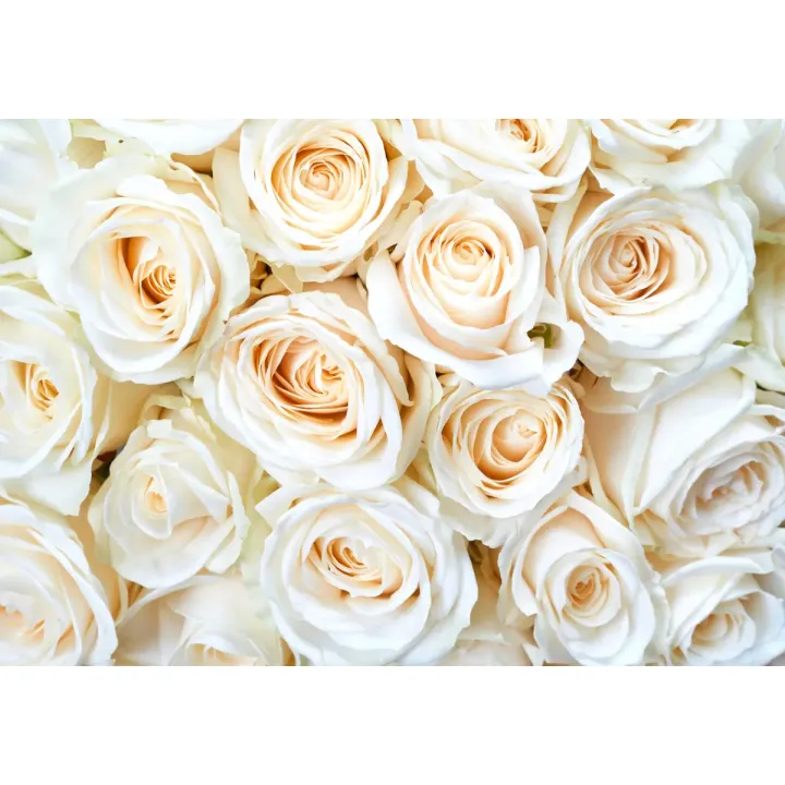 Fototapeta Krem Z Bukietem Róż – Elegancka Florystyka w Bieli – produkt