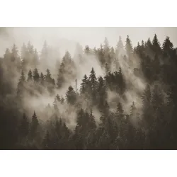 Fototapeta Las – Leśna Cisza i Spokój Natury – Odcienie bieli i czerni (III)