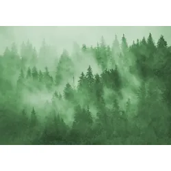 Fototapeta Las – Leśna Cisza i Zielona Natura