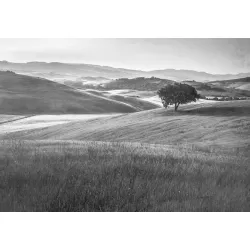 Fototapeta Góry – Monochromatyczny Krajobraz Górski