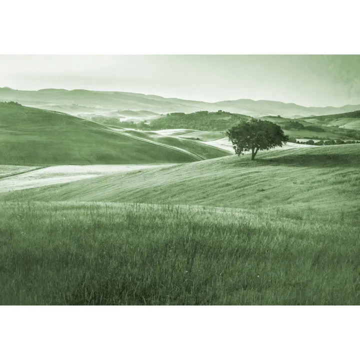 Fototapeta Rolling Hills – Spokojny Krajobraz z Samotnym Drzewem – produkt
