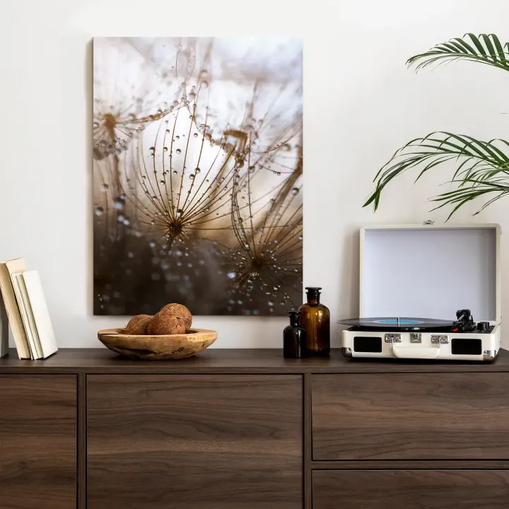 Plakat Dmuchawiec z Kropelkami Rosy – Makrofotografia Natury w Abstrakcji