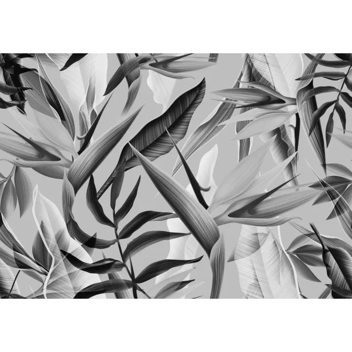 Fototapeta Tropikalna Czarno-Biała – Botaniczne Liście i Egzotyka Dżungli – produkt