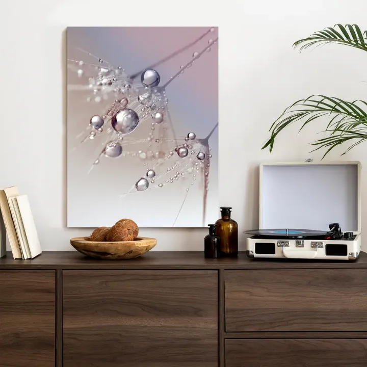 Plakat Rosa Na Różowym Dmuchawcu – Abstrakcja z Kropelkami Wody