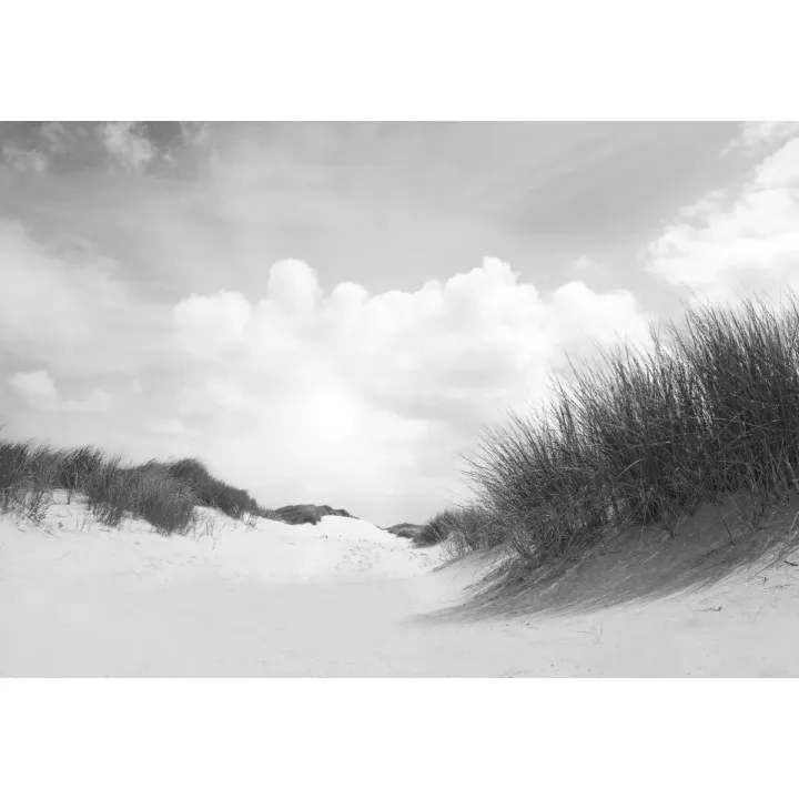 Fototapeta Plaża – Monochromatyczny Krajobraz Wydm i Nieba – produkt