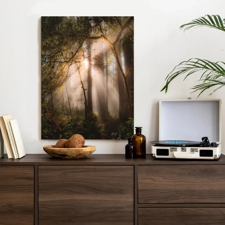 Plakat Promienie Słońca W Lesie – Leśna Cisza i Mgła w Naturze – produkt