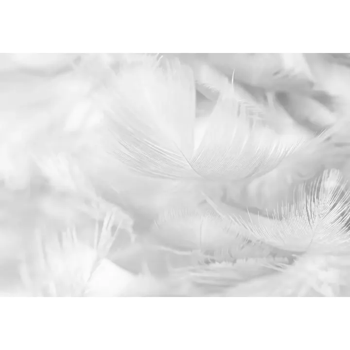 Fototapeta Pióra – Abstrakcyjna Grafika w Monochromatycznym Stylu – produkt