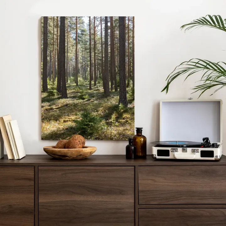 Plakat Las Sosnowy – Leśna Cisza i Głębia Perspektywy – produkt
