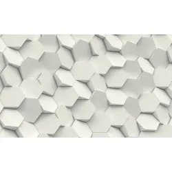 Fototapeta Hexag – Geometryczny Wzór Heksagonalny w Stylu Minimalistycznym