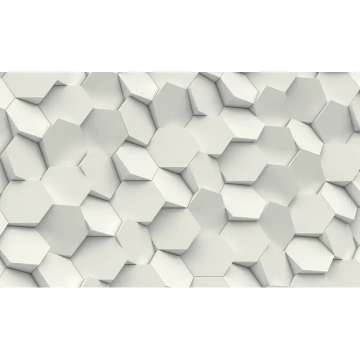 Fototapeta Hexag – Geometryczny Wzór Heksagonalny w Stylu Minimalistycznym – produkt