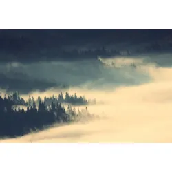 Fototapeta Karpaty – Poranny Krajobraz Górski o Świcie