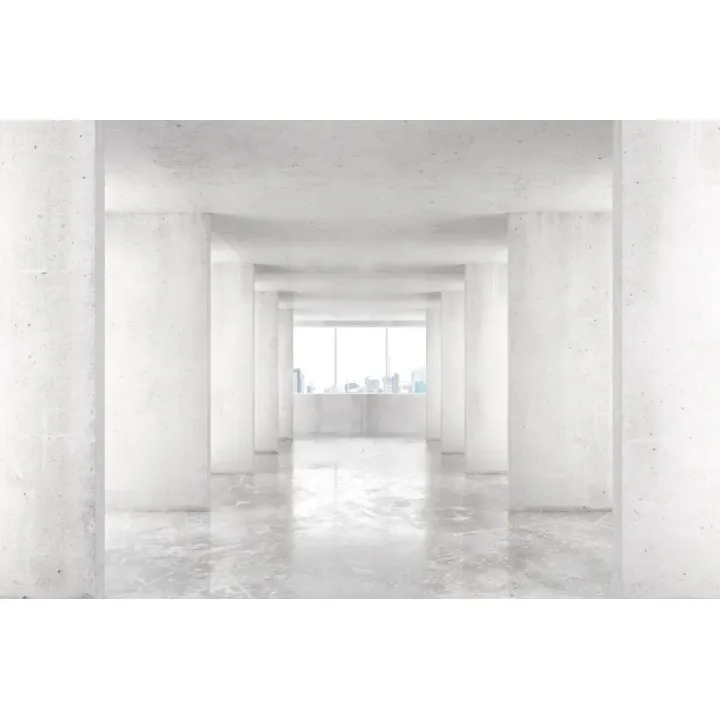 Fototapeta Loft Style – Industrialna Architektura Miejska z Pustym Wnętrzem – produkt