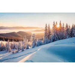 Fototapeta Karpaty – Zimowy Krajobraz Górski z Mgłą i Wschodem Słońca