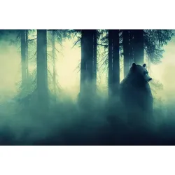 Fototapeta Abstrakcja – Leśna Cisza i Głębia Perspektywy