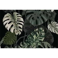 Fototapeta Botaniczny Maksymalizm – Liście Monstery w Zielonym Kontraście