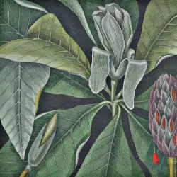 Fototapeta Okrągła Rycina Botaniczna – Styl Vintage z Kwiatami i Liśćmi