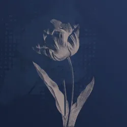 Fototapeta Okrągła Ciemne Rośliny – Botaniczny Motyw w Czerni i Bieli