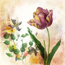 Fototapeta Okrągła Rycina Botaniczna – Wiosenna Flora i Tulipany w Stylu Vintage