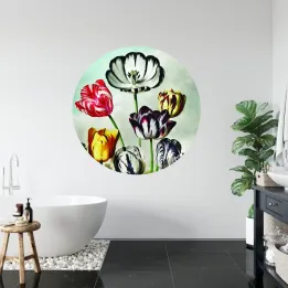 Fototapeta Okrągła Tulipany – Kolorowe Kwiaty i Wiosenna Natura