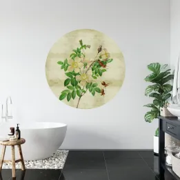Fototapeta Rycina Botaniczna – Dzika Róża i Szarotka w Stylu Vintage