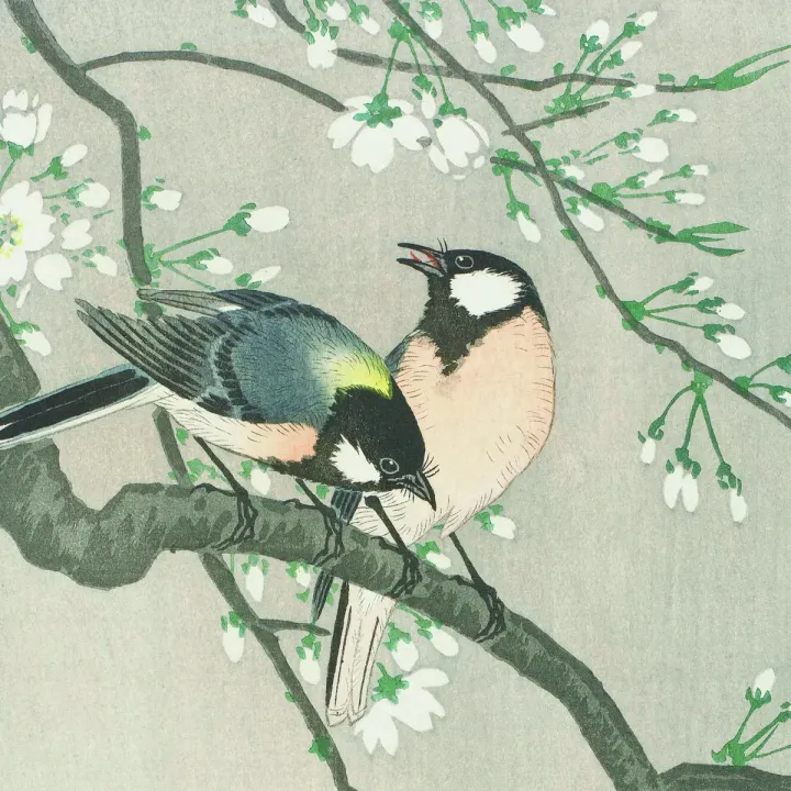 Fototapeta Okrągła Jedwabne Ptaki – Kwitnąca Sakura i Śpiew Ptaków – produkt