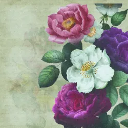 Fototapeta Rycina Botaniczna – Styl Vintage z Różami i Kwiatami