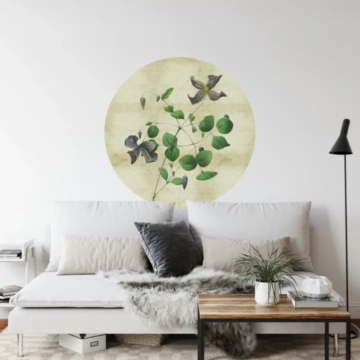 Fototapeta Rycina Botaniczna – Stary Papier i Szczegóły Natury