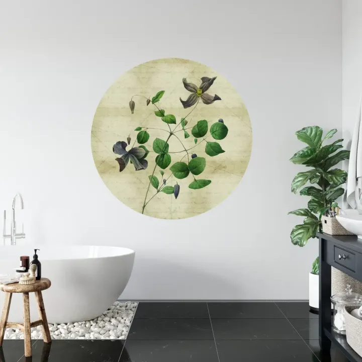 Fototapeta Rycina Botaniczna – Stary Papier i Szczegóły Natury