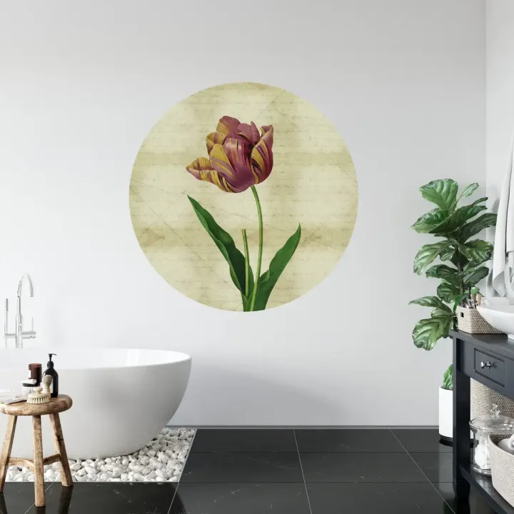 Fototapeta Okrągła Rycina Botaniczna – Vintage z Motywem Tulipana
