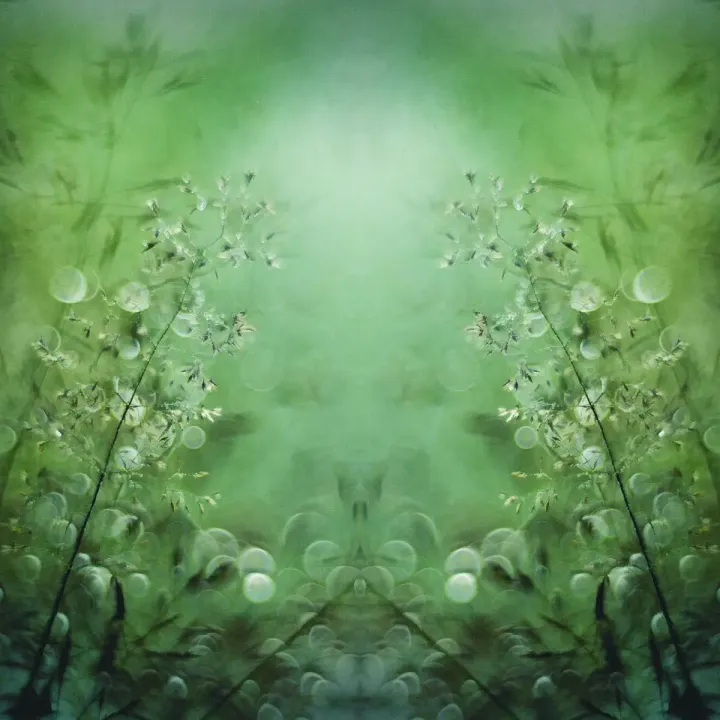 Fototapeta Kwadratowa Trawy – Abstrakcja Geometryczna i Natura – produkt