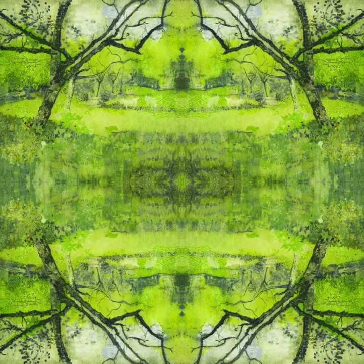 Fototapeta Kwadratowa Sad – Symetryczna Natura i Refleksje Wody – produkt
