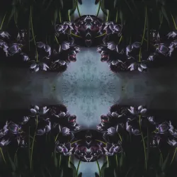 Fototapeta Kwadratowa Tulipan – Abstrakcja Geometryczna i Motyw Florystyczny